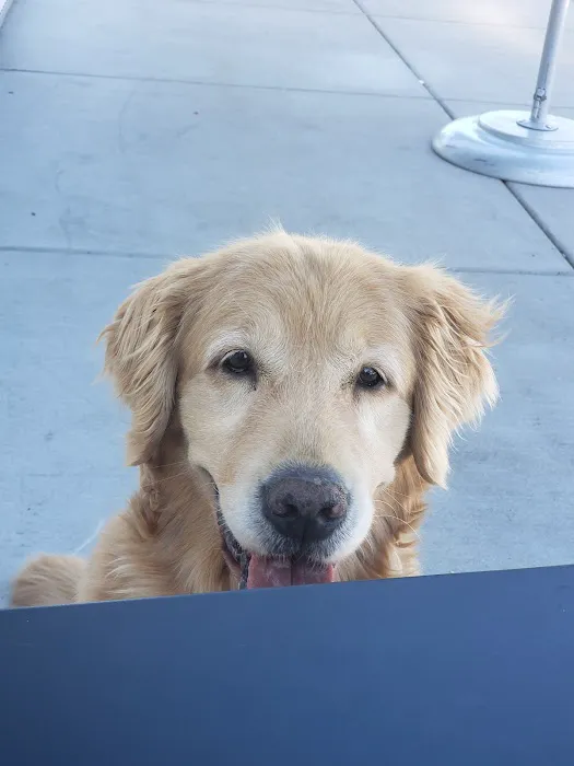 Orangevale Veterinary Hospital Picture 10