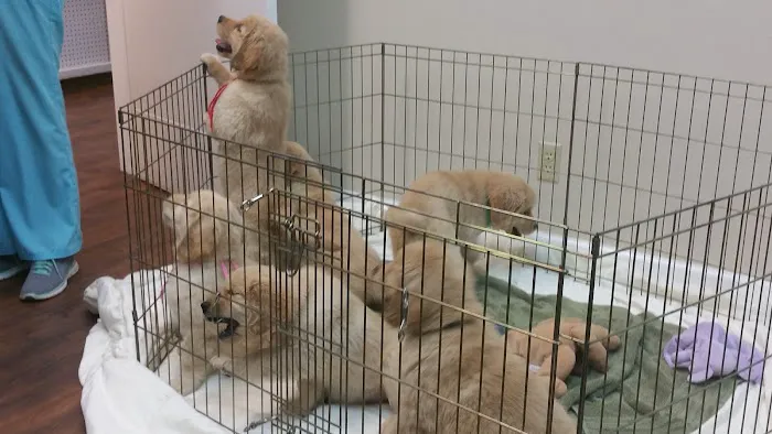 Orangevale Veterinary Hospital Picture 2