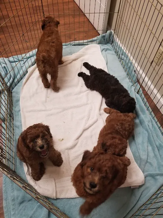 Orangevale Veterinary Hospital Picture 4