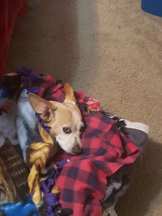 Crossroads Animal Hospital Picture 8
