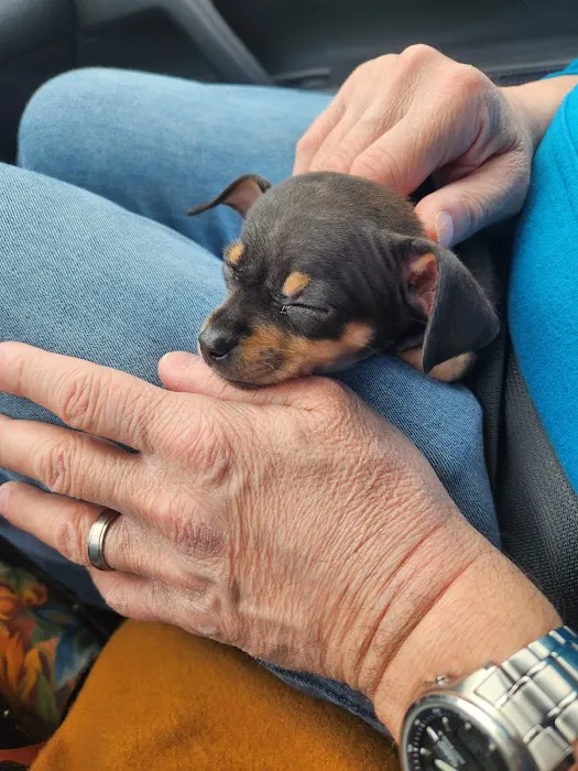 Crossroads Animal Hospital Picture 10