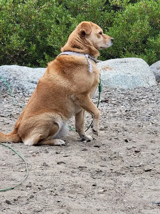 Crossroads Animal Hospital Picture 1