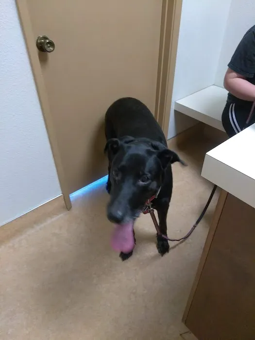 Crossroads Animal Hospital Picture 3
