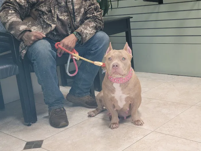 Crossroads Animal Hospital Picture 5