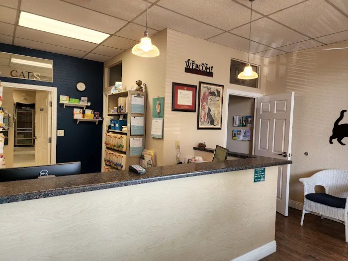 Cat Clinic of Folsom Picture 2