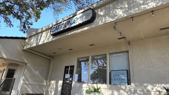 Cat Clinic of Folsom Picture 3