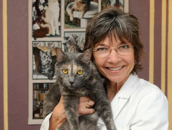 Cat Clinic of Folsom Picture 1