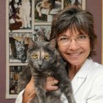 Cat Clinic of Folsom