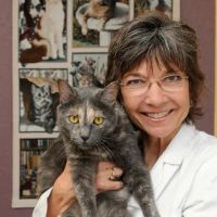 Cat Clinic of Folsom ico