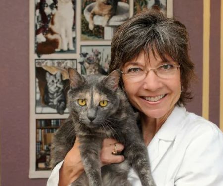 Cat Clinic of Folsom