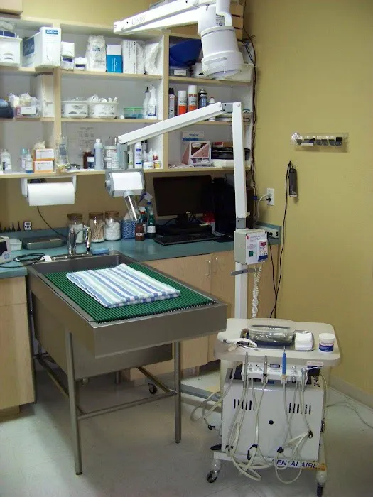 Cat Clinic of Folsom Picture 9