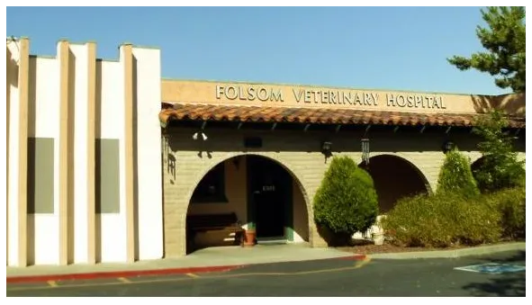 Folsom Veterinary Hospital Picture 6