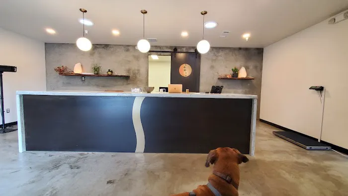 Meridian Veterinary Care Picture 3