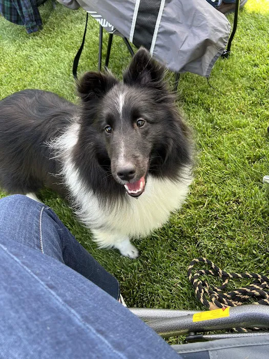 Meridian Veterinary Care Picture 10