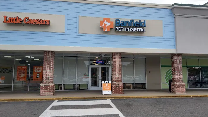 Banfield Pet Hospital Picture 10