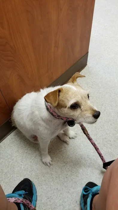 Mt. Pleasant Vet Clinic Picture 3