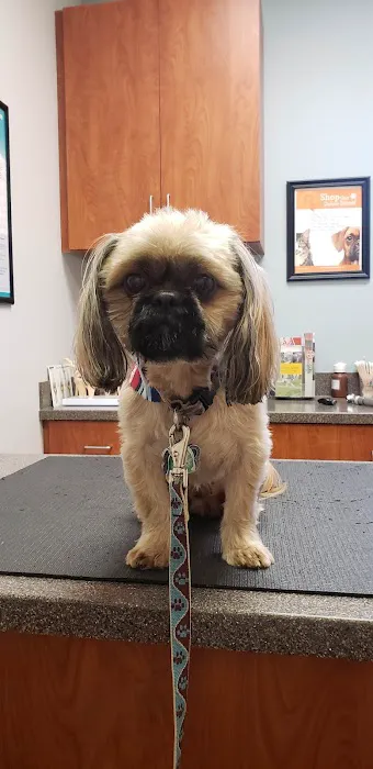 Mt. Pleasant Vet Clinic Picture 1