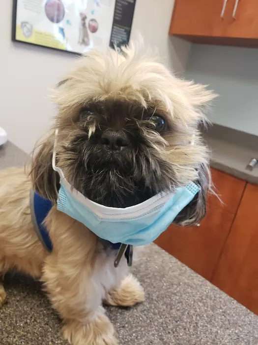 Mt. Pleasant Vet Clinic Picture 2