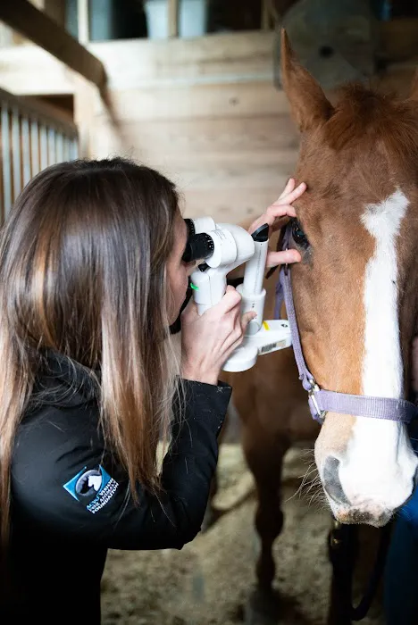 Animal Vision Center of Virginia Picture 1