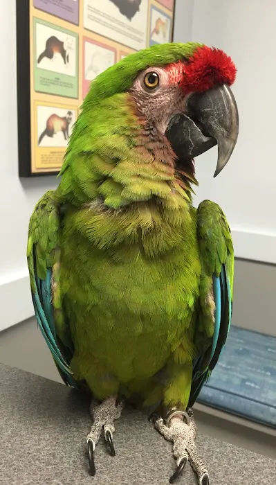 Animal Vision Center of Virginia Picture 4