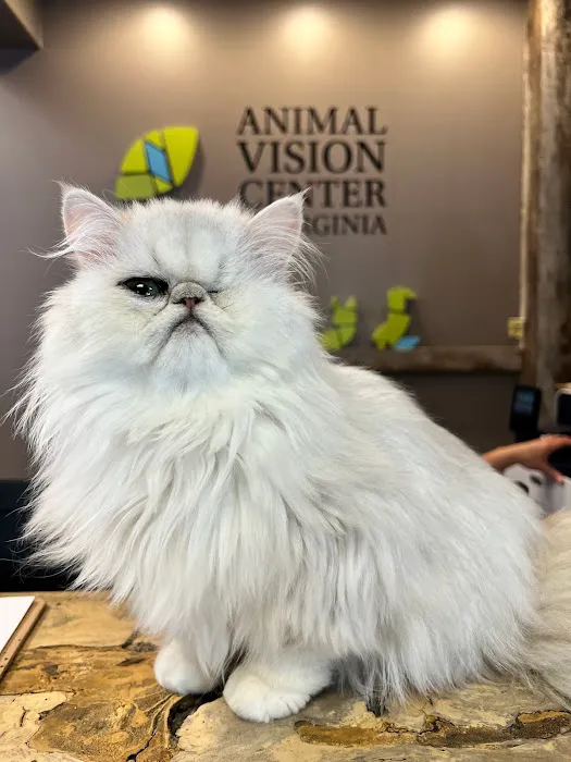 Animal Vision Center of Virginia Picture 5