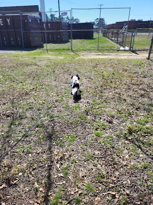 Animal Vision Center of Virginia Picture 10