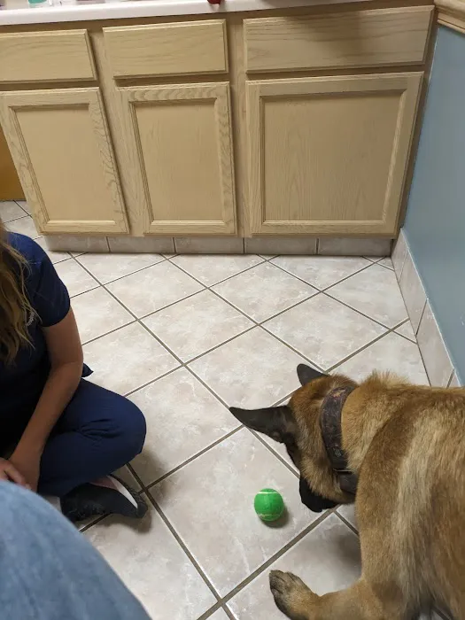 Deep Creek Veterinary Hospital Picture 9