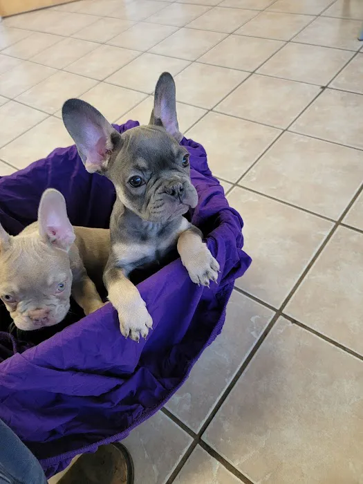 Deep Creek Veterinary Hospital Picture 4