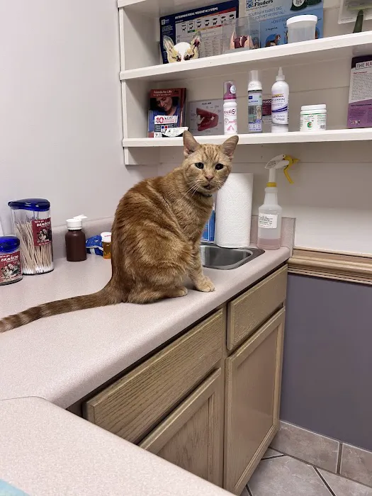 Deep Creek Veterinary Hospital Picture 3