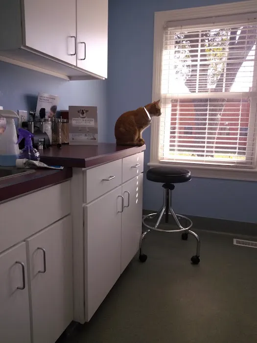 Western Branch Veterinary Hospital Picture 10