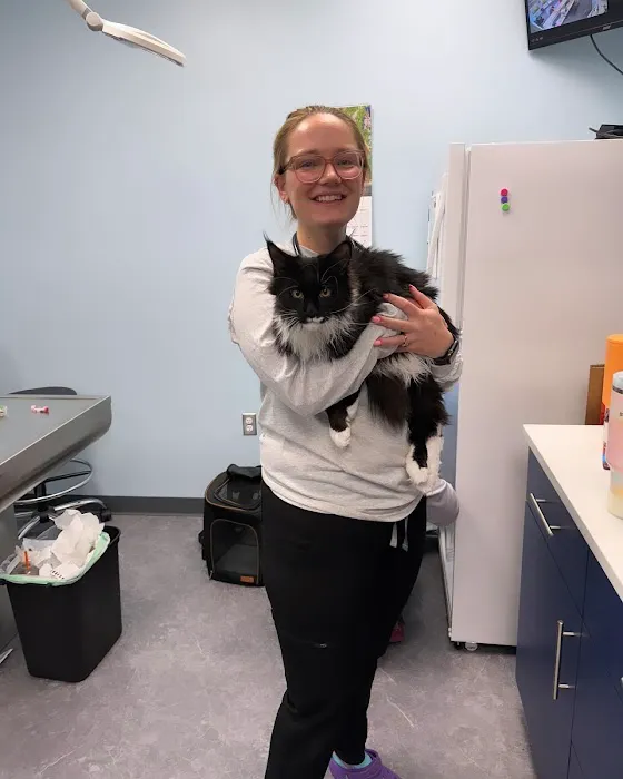 MyVet Picture 3