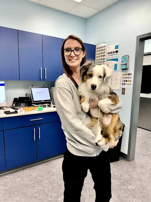 MyVet Picture 4