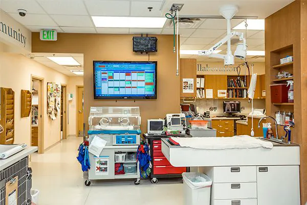 The COVE - Center of Veterinary Expertise Picture 4