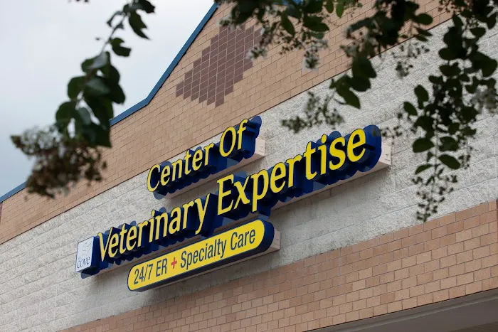 The COVE - Center of Veterinary Expertise Picture 3
