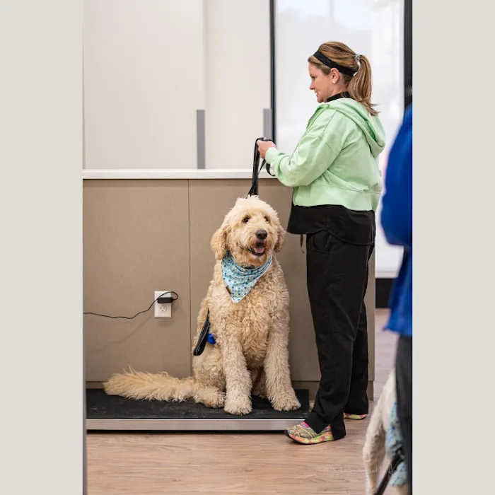 Caring Hands Animal Hospital - Suffolk Picture 10