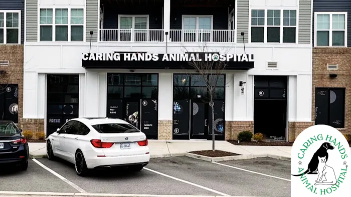 Caring Hands Animal Hospital - Suffolk Picture 8