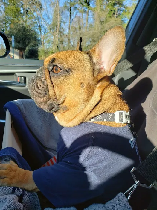 Bennetts Creek Veterinary Care Picture 4