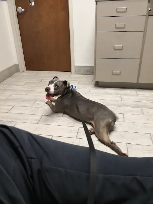 Bennetts Creek Veterinary Care Picture 5