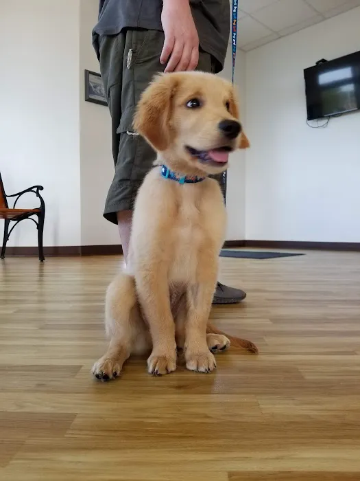 Dominion Veterinary Hospital Picture 5