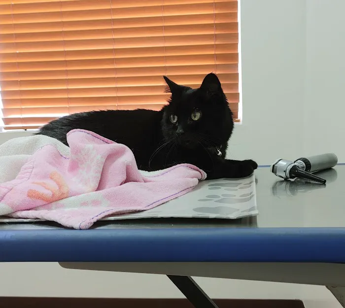 Dominion Veterinary Hospital Picture 4