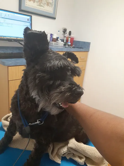 Dominion Veterinary Hospital Picture 7