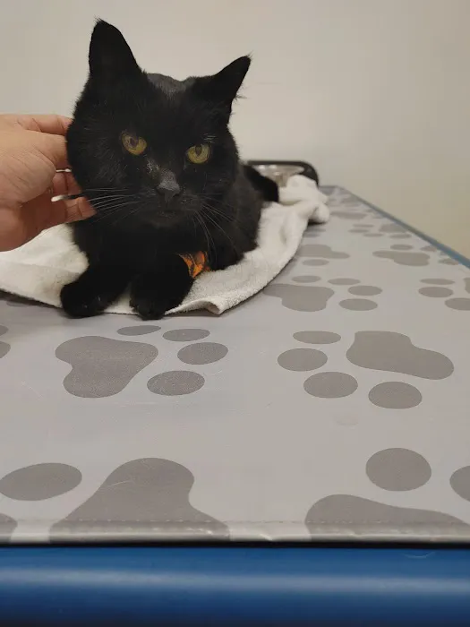 Dominion Veterinary Hospital Picture 2