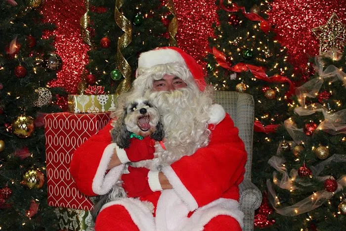 Hope Springs Veterinary at Great Bridge Picture 5