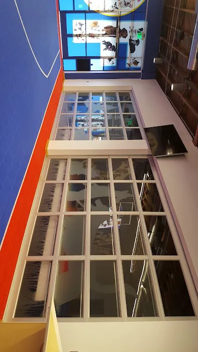 VCA Inc. Picture 5