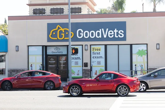 GoodVets Hermosa Beach Picture 1