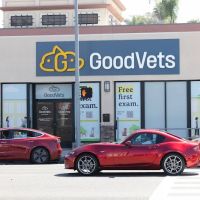 GoodVets Hermosa Beach ico