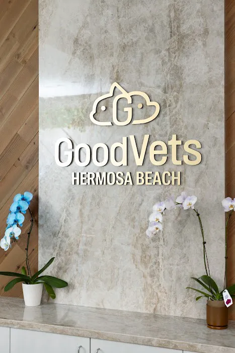 GoodVets Hermosa Beach Picture 7