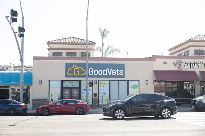 GoodVets Hermosa Beach Picture 5