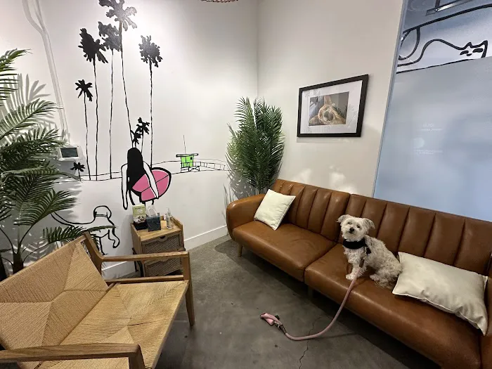Green Dog Dental and Veterinary Center Picture 8