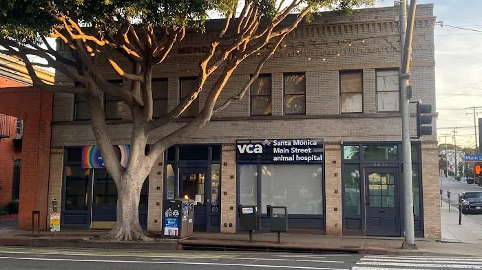 VCA Santa Monica Main Street Animal Hospital Picture 9